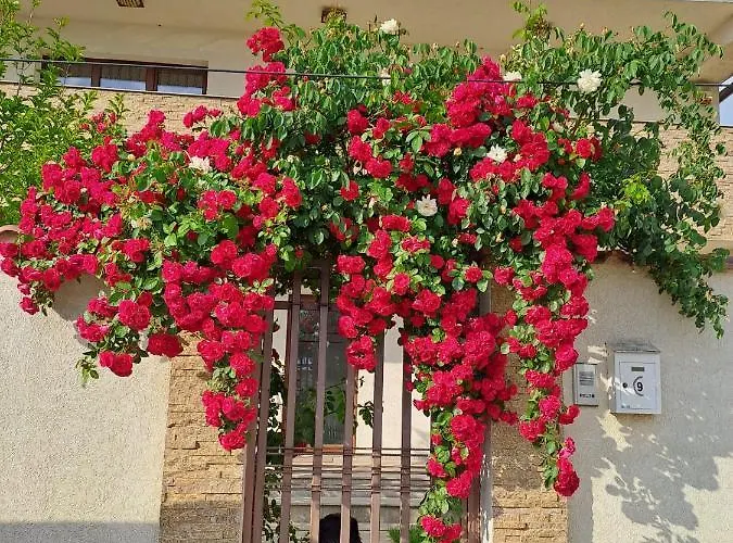 Casa 2 Вілла Бухарест